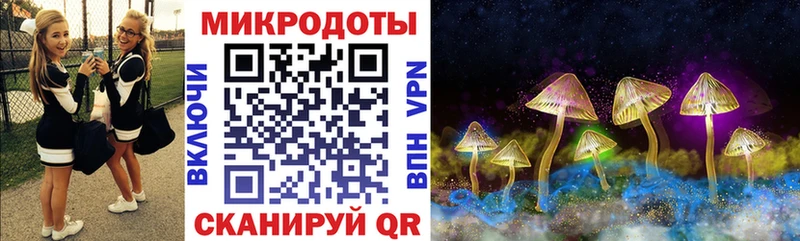 Купить  Рязань  Псилоцибиновые грибы GOLDEN TEACHER 